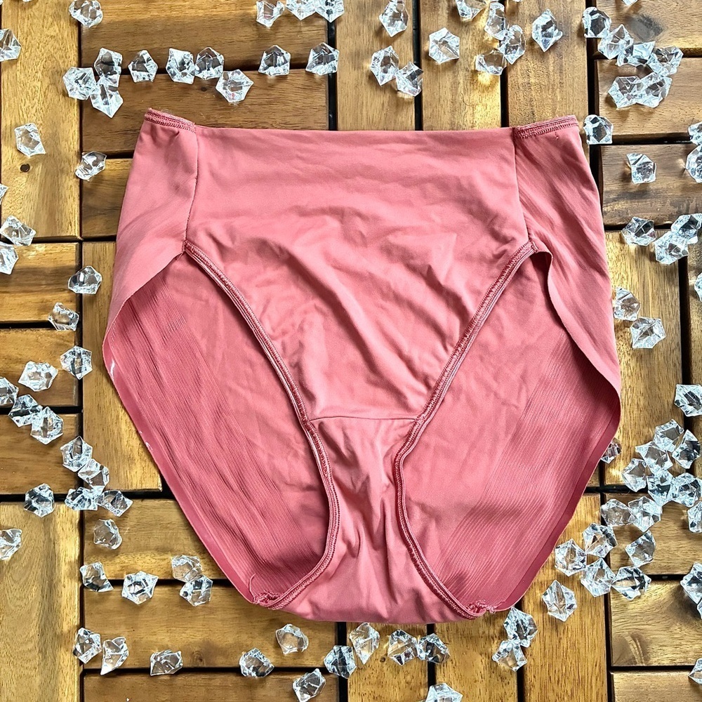 Soma High Leg Nylon Panty